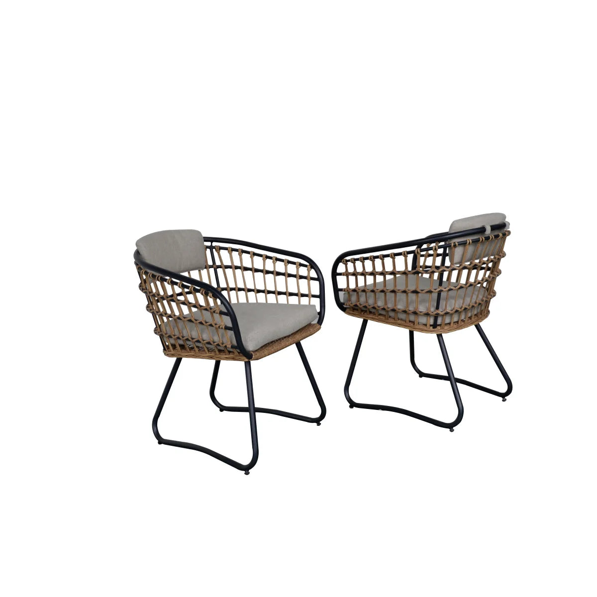 Outdoor Wicker Dining Chairs Set of 2, Patio Dining Chairs with Cushions, Rattan Dining Armchairs for Lawn, Garden, Poolside, Backyard, Porch, Beige RR