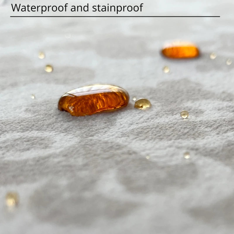 French Style Carpets for Living Room Light Luxury Bedroom Decor Carpet Thickend Plush Lounge Floor Mat Washable Bedside Soft Rug