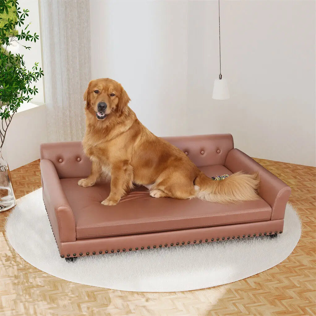 Bingopaw Hypoallergenic Superlative Orthopedic Removable Cushion Cover Dog Sofa Bed