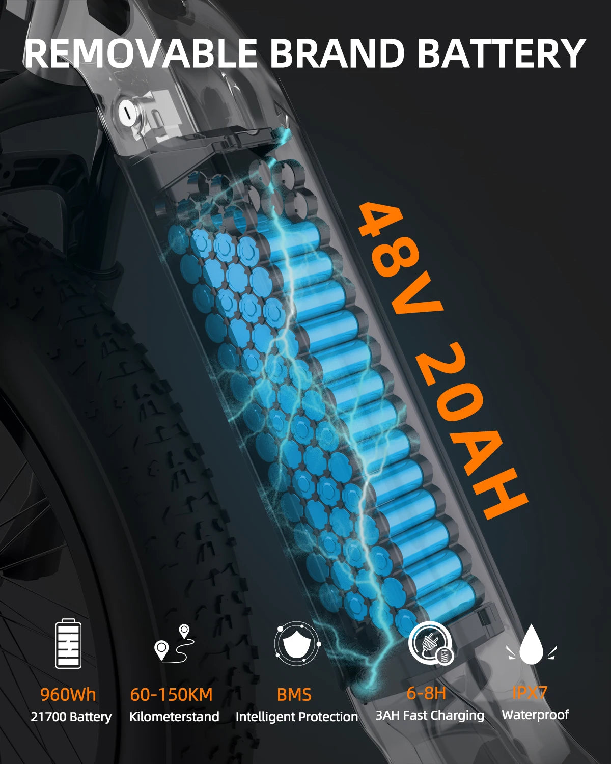 Freedare 1000W Fat Tire Electric Bike 48V All Terrain