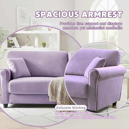 Modern Loveseat Sofa for Living Room,Love Seat with 2 Seater,Velvet Loveseat Sofa,Small Couch for Living, Customized