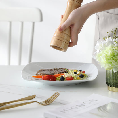 MALACASA Classic Porcelain Dinnerware Set for Dining	Collection